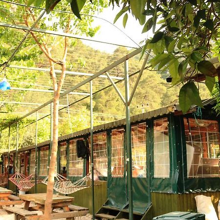 Olympos Zeytin B&B 외부 사진