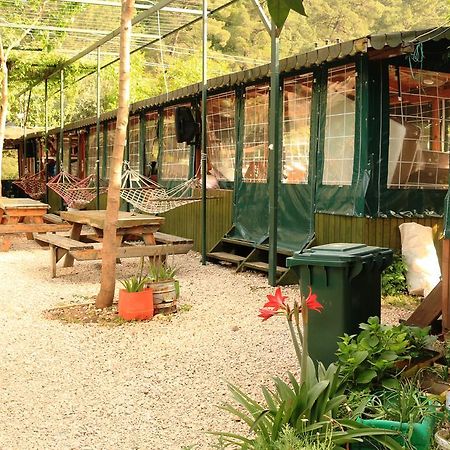 Olympos Zeytin B&B 외부 사진