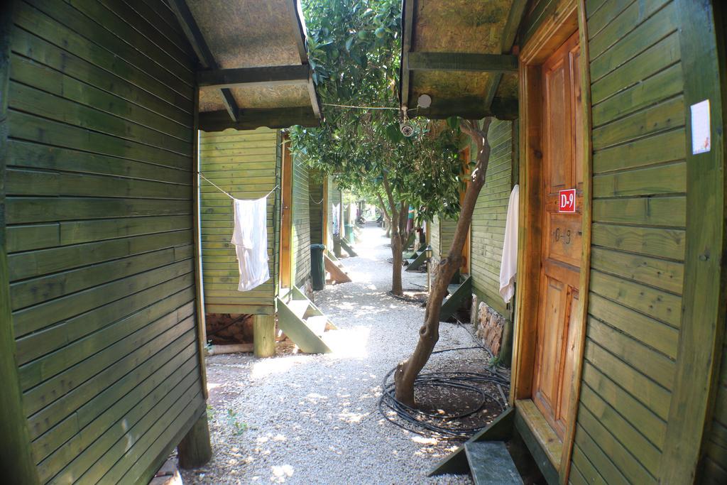 Olympos Zeytin B&B 외부 사진