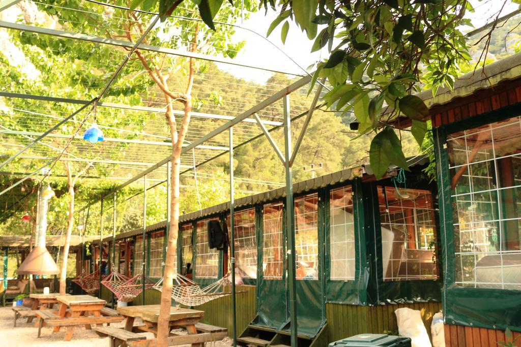 Olympos Zeytin B&B 외부 사진