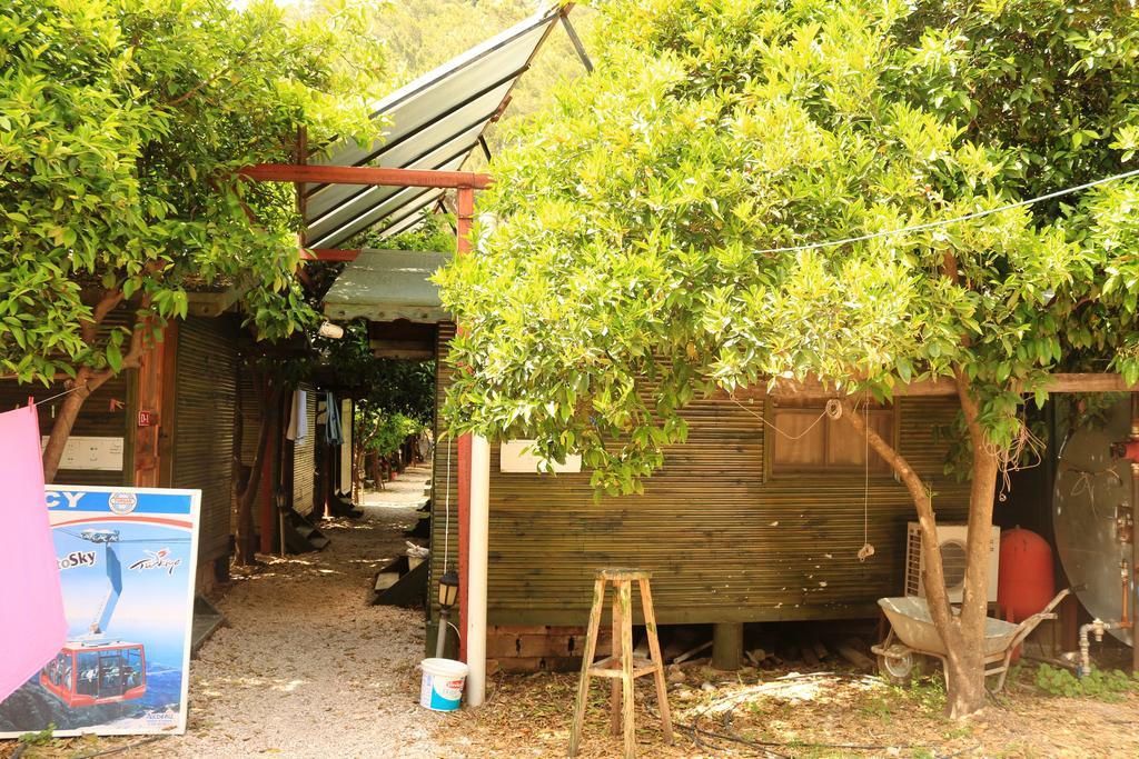 Olympos Zeytin B&B 외부 사진