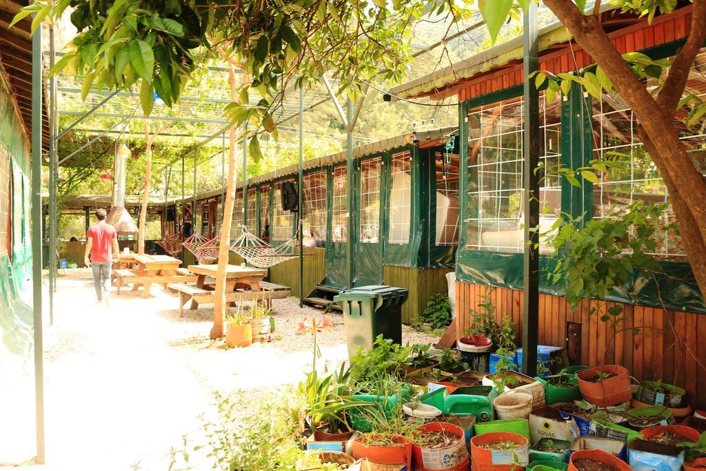 Olympos Zeytin B&B 외부 사진